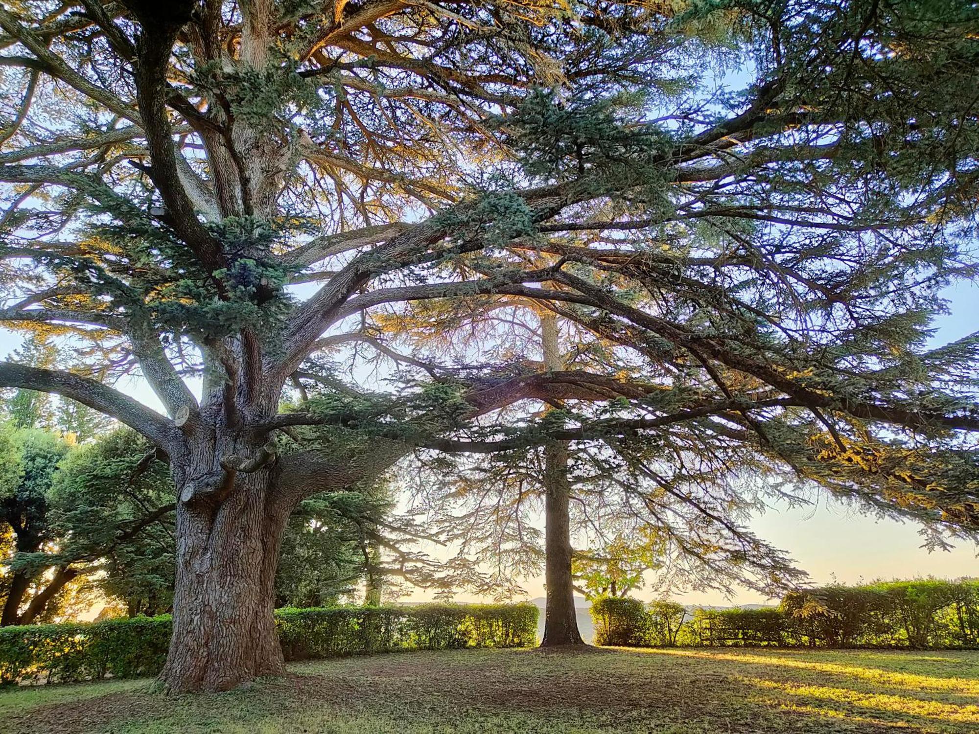 Borgo Villa Certano - Case Vacanza In Toscana Сиена Экстерьер фото