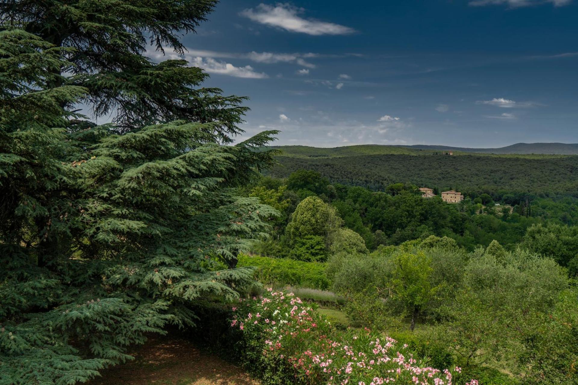 Borgo Villa Certano - Case Vacanza In Toscana Сиена Экстерьер фото