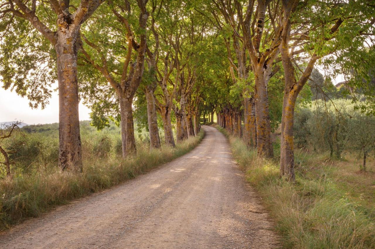 Borgo Villa Certano - Case Vacanza In Toscana Сиена Экстерьер фото